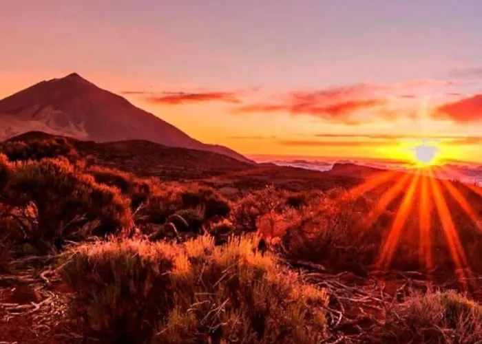 Apartman Amazing In Americas Playa de las Américas