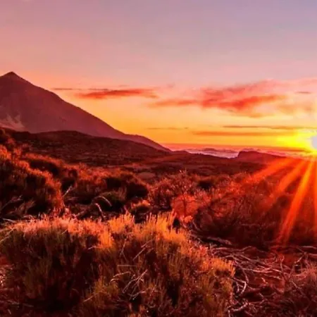 Апартаменты Amazing In Americas Плая-де-лас-Америкас